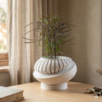 Sculptural Indoor Planter, Modern Plant Pot with Removable Drainage Tray